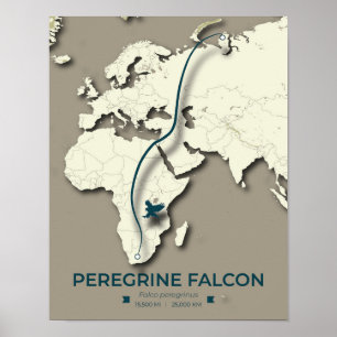 Peregrine Falcon Migration Karta - minimalistisk Poster