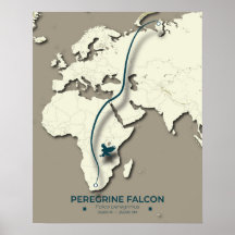 Peregrine Falcon Migration Karta - minimalistisk