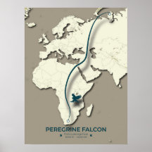 Peregrine Falcon Migration Karta - minimalistisk