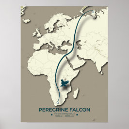 Peregrine Falcon Migration Karta - minimalistisk Poster