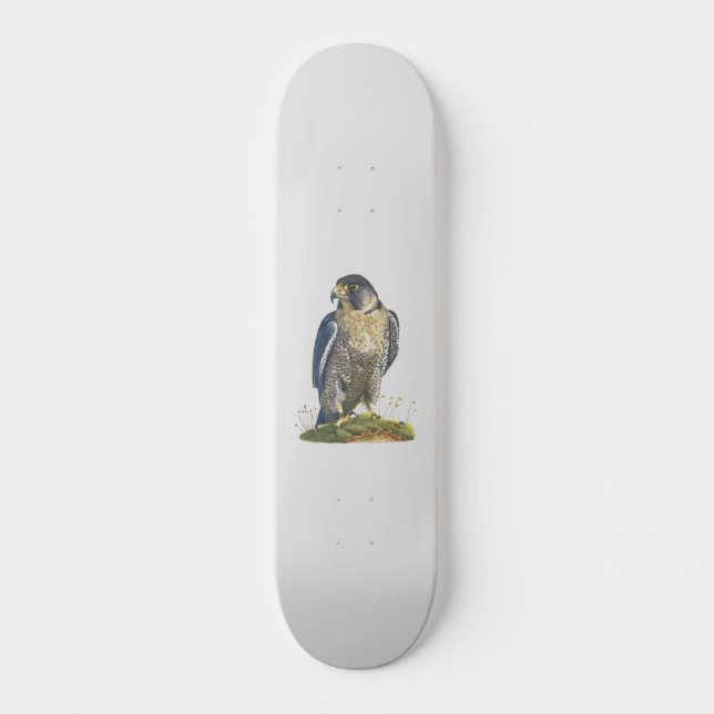 Peregrine Falcon Mini Skateboard Bräda 18,5 Cm (Framsida)