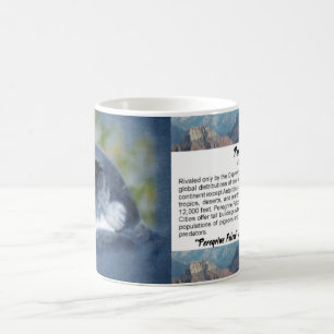 Peregrine Falcon Mugg