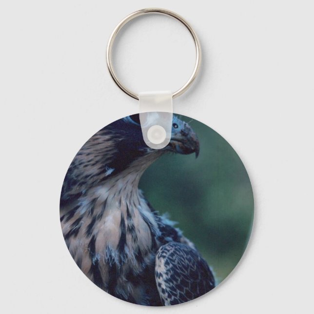 Peregrine Falcon Nyckelring (Framsida)