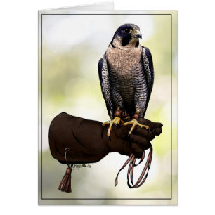 Peregrine Falcon on Glove Hälsningskort