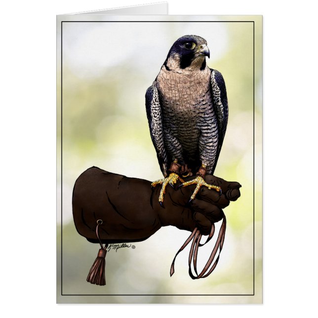 Peregrine Falcon on Glove Hälsningskort (Framsidan)