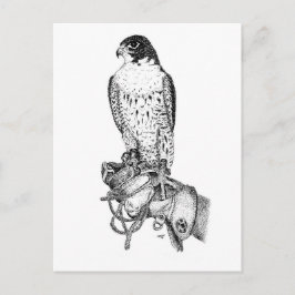 Peregrine Falcon på blockvykort Vykort