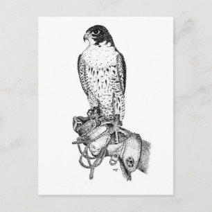 Peregrine Falcon på blockvykort Vykort