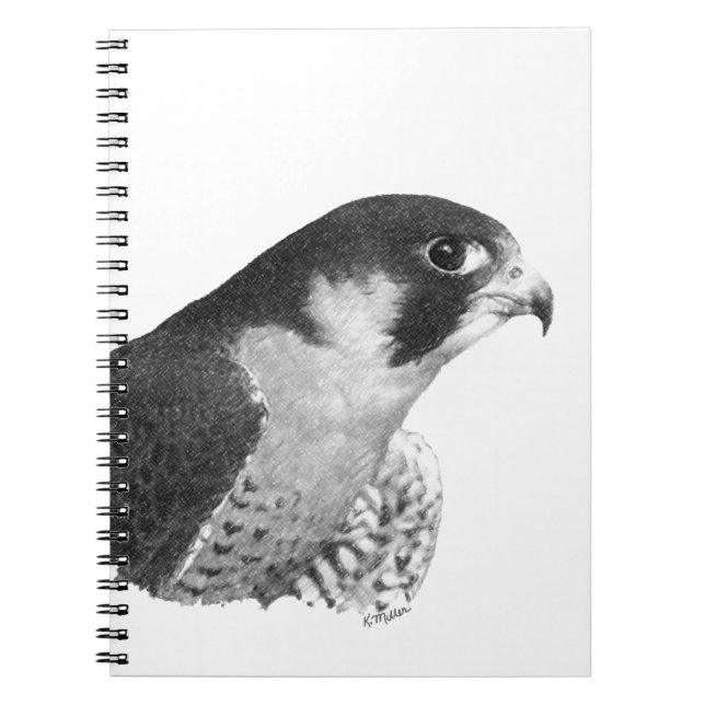 Peregrine Falcon-Pencil Anteckningsbok Med Spiral (Framsidan)