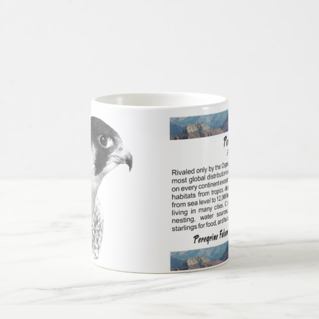 Peregrine Falcon-Pencil Kaffemugg (Center)