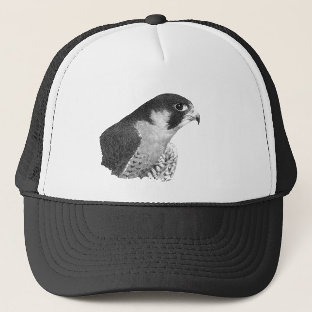 Peregrine Falcon-Pencil Keps (Framsida)