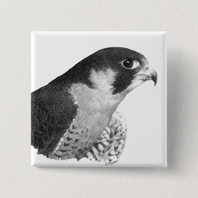 Peregrine Falcon-Pencil Knapp (Framsida)
