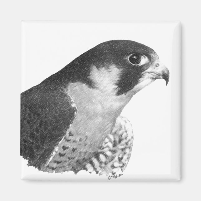 Peregrine Falcon-Pencil Magnet (Framsidan)