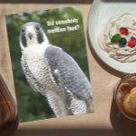 Peregrine Falcon Photo Funny Birthday Card Kort<br><div class="desc">Humoriserande födelsedagskort för alla med fotobilden av en Peregrine Falcon tittar för mat. Se på tårtan! Välj från projektionsyta eller glansigt stil-kort.</div>