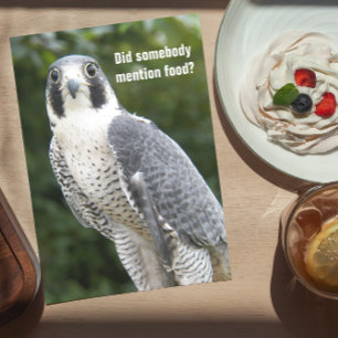 Peregrine Falcon Photo Funny Birthday Card Kort