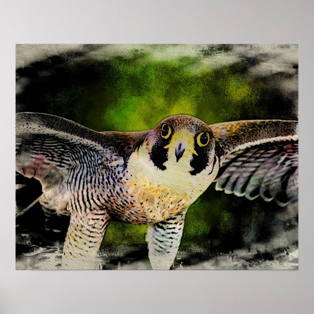 Peregrine Falcon Poster (Framsidan)
