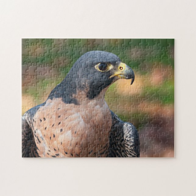 Peregrine Falcon-profil Pussel (Horisontell)