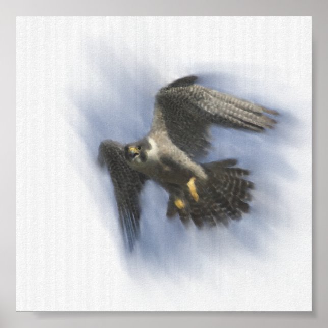 Peregrine Falcon under Flight Poster (Framsidan)