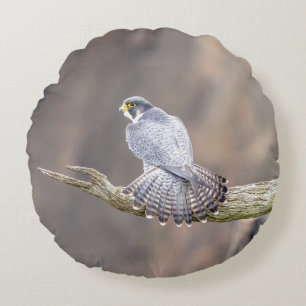 Peregrine Falcon vid Palisades Interstate Park Rund Kudde