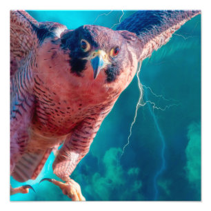 Peregrine Falcon VINGAR of MERCURY Fototryck
