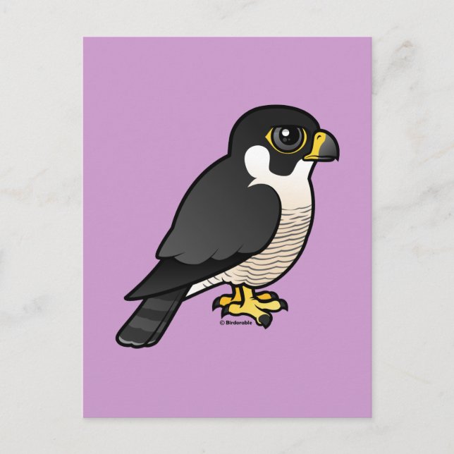 Peregrine Falcon Vykort (Framsida)