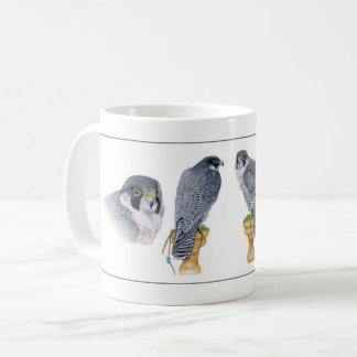 Peregrine Falconrymugg Kaffemugg