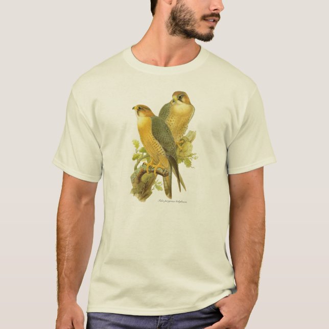 Peregrine falk (Falcoperegrinusbabylonicusen) T-shirt (Framsida)