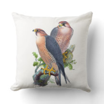 Peregrine Falk Gamla Konst