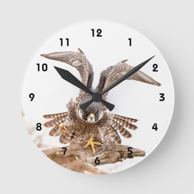 Peregrine falk rund klocka (Framsida)