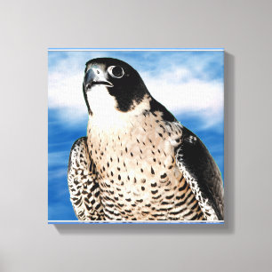 Peregrine falk slågen in kanvastryck