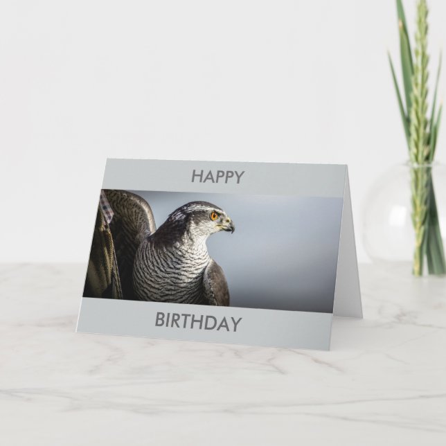 Peregrine falkfödelsedagkort kort (Framsida)