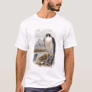 Peregrine falkJohn Gould fåglar av Storbritannien Tröja