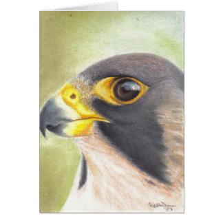 Peregrine falkkort hälsningskort