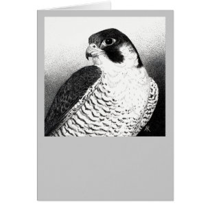 Peregrine falkkort OBS kort