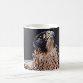 Peregrine falkmugg kaffemugg