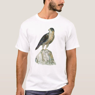 Peregrinefalk Herrens T-Shirts