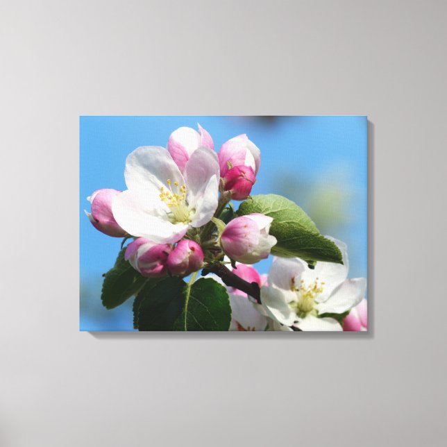Perfekt Apple-Blommarna WrappedCanvas (glapp) Canvastryck (Framsida)