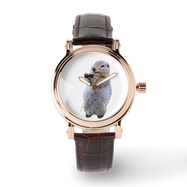 Perfekt: Brun läderband Se Armbandsur (Framsida)