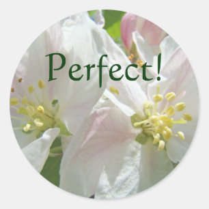 Perfekt! dekaler anpassade Apple Blossoms Blommor Runt Klistermärke