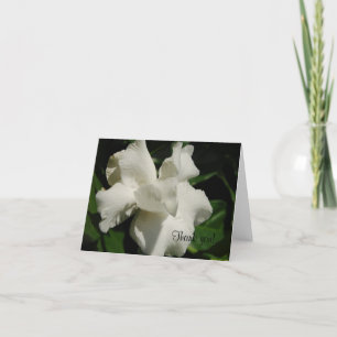 Perfekt Gardenia Tack Kort