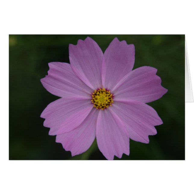 perfekt hälsningskort (Framsidan Horizontal)