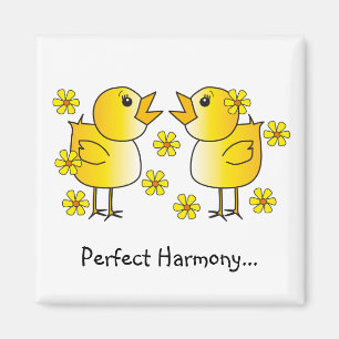 Perfekt harmonimagnet magnet