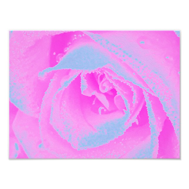 Perfekt het rosa och ljusblå rosdetalj fototryck (Framsidan)