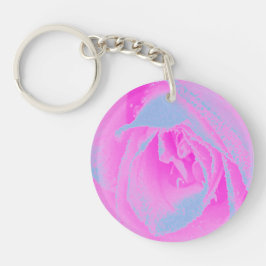 Perfekt het rosa och ljust blå ros detalj
