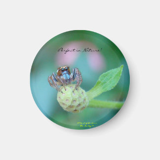 Perfekt i naturpris magnet