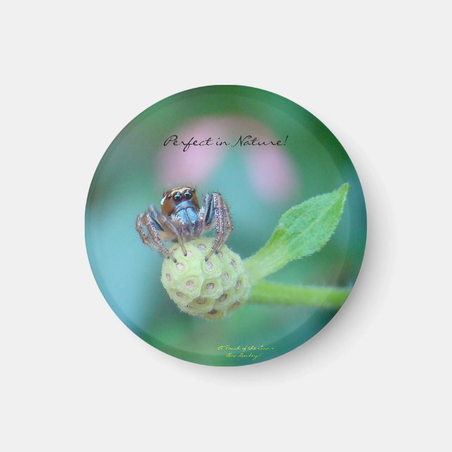 Perfekt i naturpris magnet (Framsidan)