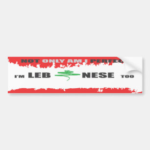 PERFEKT LIBANESISK bildekal