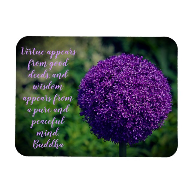 Perfekt Lila Allium Flower Motivering Quote Magnet (Horisontell)