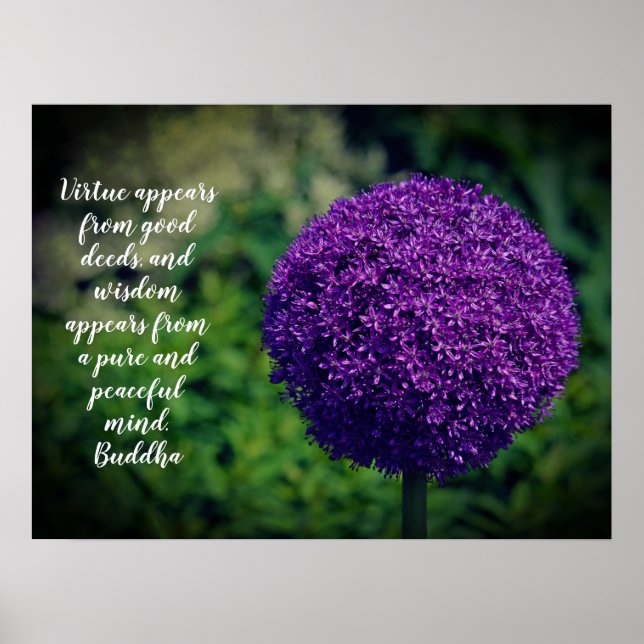 Perfekt Lila Allium Flower Motivering Quote Poster (Framsidan)