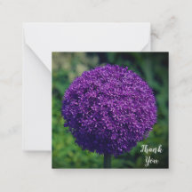 Perfekt Lila Allium Flower Personal Tack