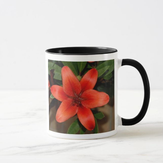 Perfekt Orange Lily Flower Mugg (Höger)